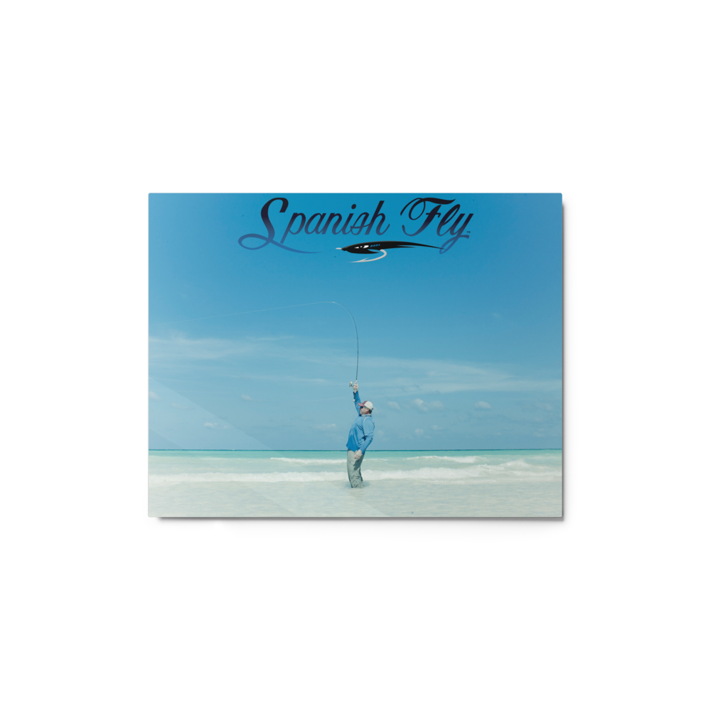 Jose Wejebe Beach Cast - Spanish Fly Metal print