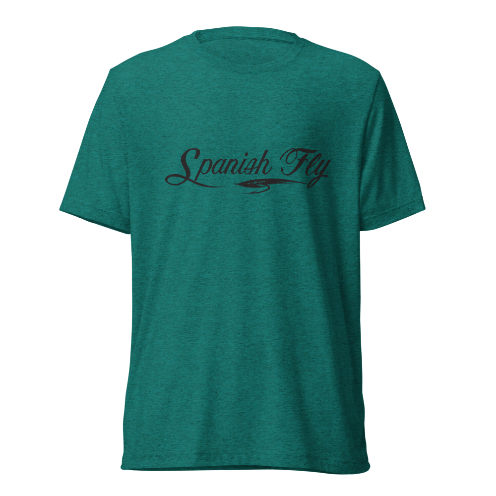 unisex-tri-blend-t-shirt-teal-triblend-front-6516e7685d87e_365b8098-8130-4710-8d5e-ffef075b0b21.png