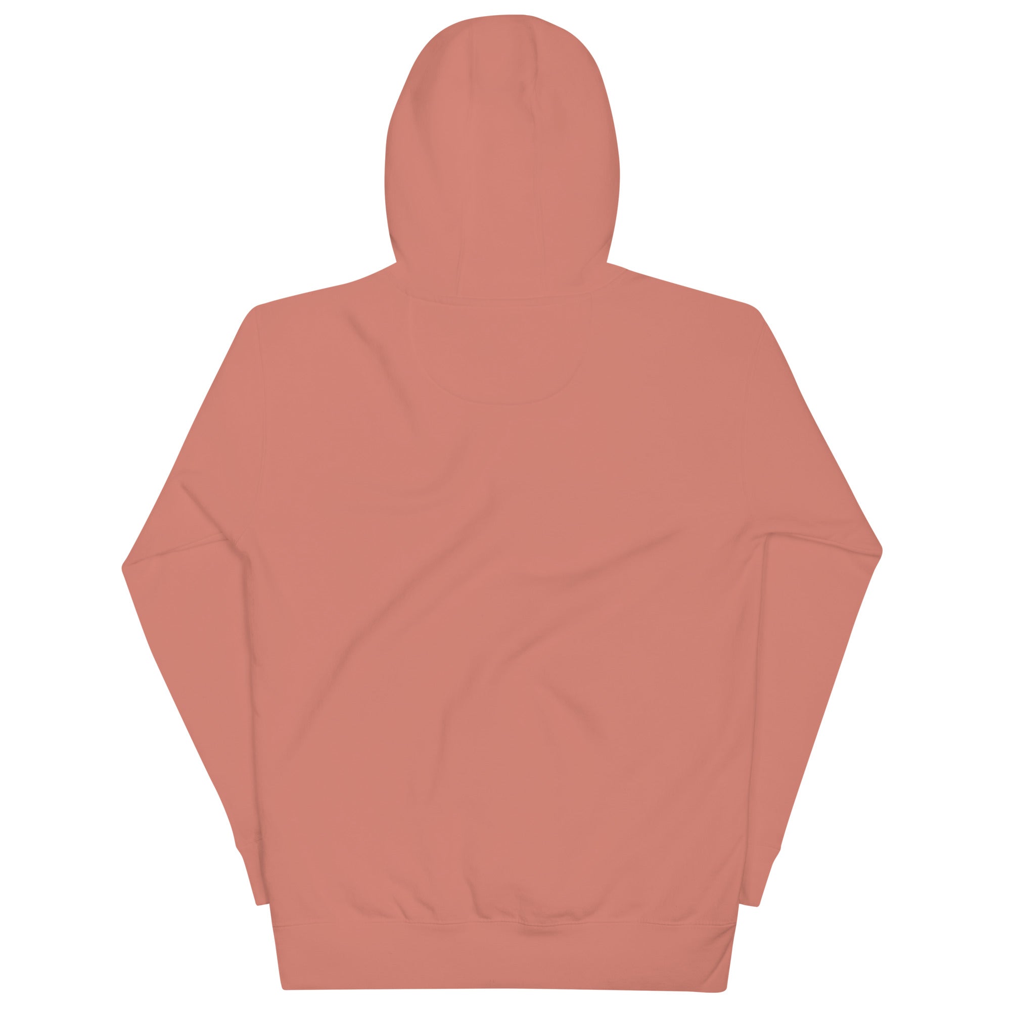 unisex-premium-hoodie-dusty-rose-back-639cc71075492.jpg