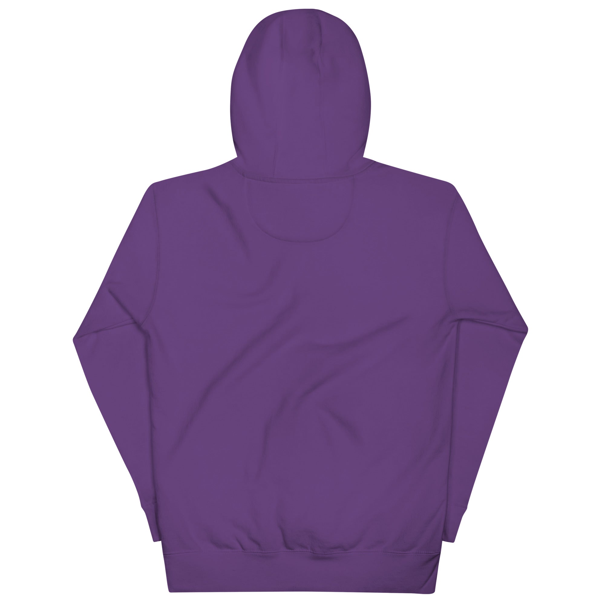 unisex-premium-hoodie-purple-back-639cc7d8a1999.jpg